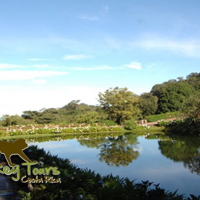 El Establo lake infront of the hotel