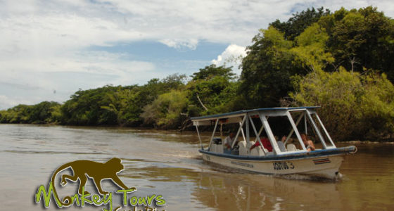 Palo Verde experience with Costa Rica Monkey Tours