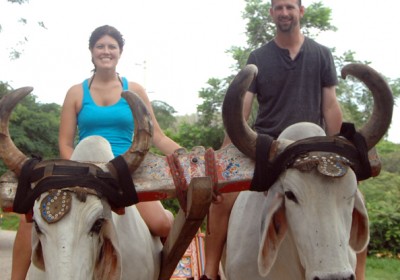 Pose with the Costa Rica cattle with Monkey Tours