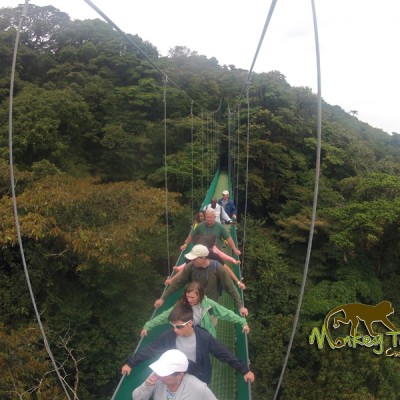 Hanging Bridges in Monteverde