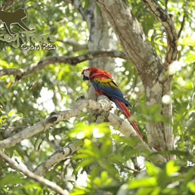 costa rica tours