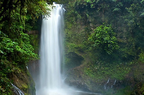 Magia-Blanca-Waterfall-La-Paz-Waterfall-Gardens-Costa-Rica