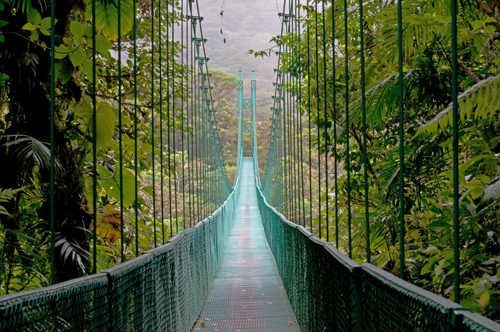costa_rica_monteverde_cloud_forest_bridge