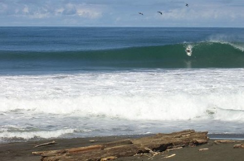 jaco-playa-hermosa-surf-tours-018-17346