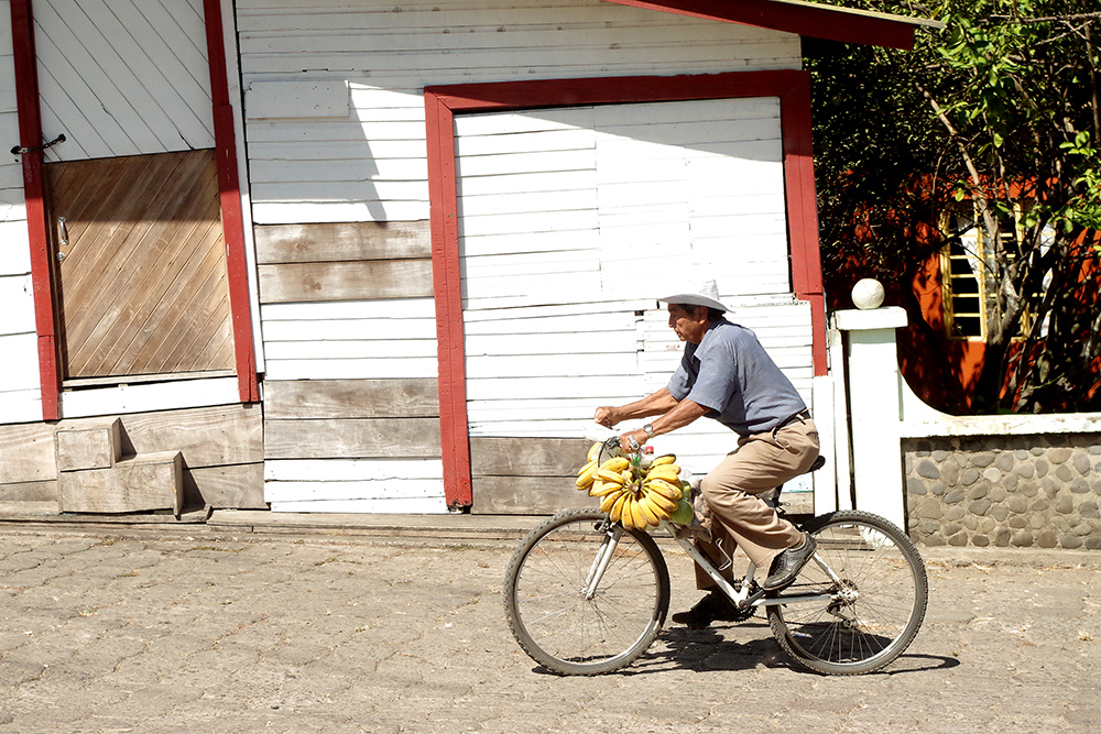 bicicle