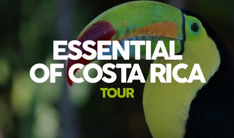 Costa Rica Tour